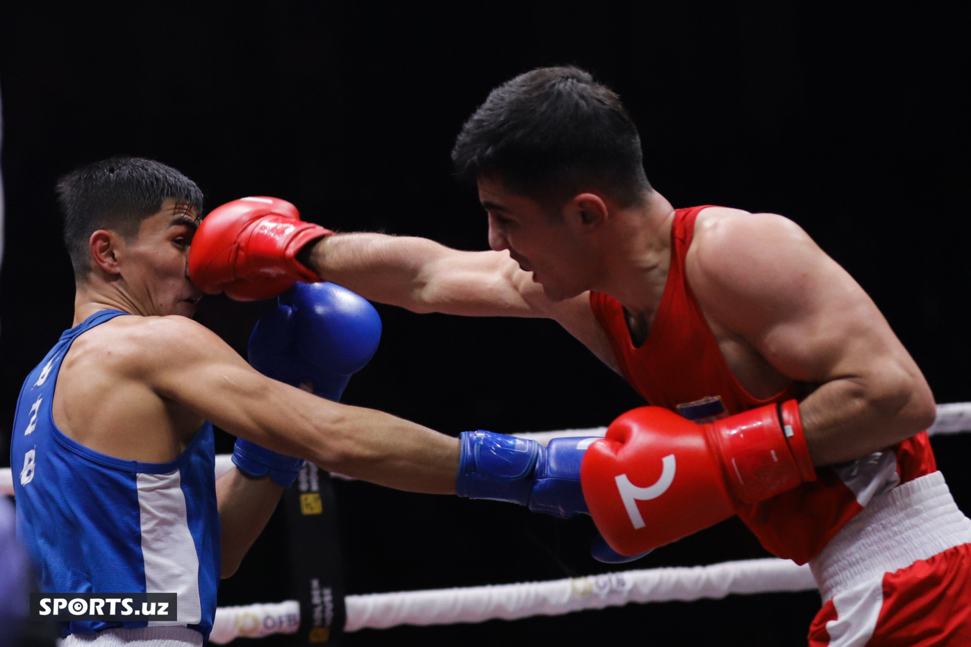 Boks. O'zbekiston chempionati yarim final