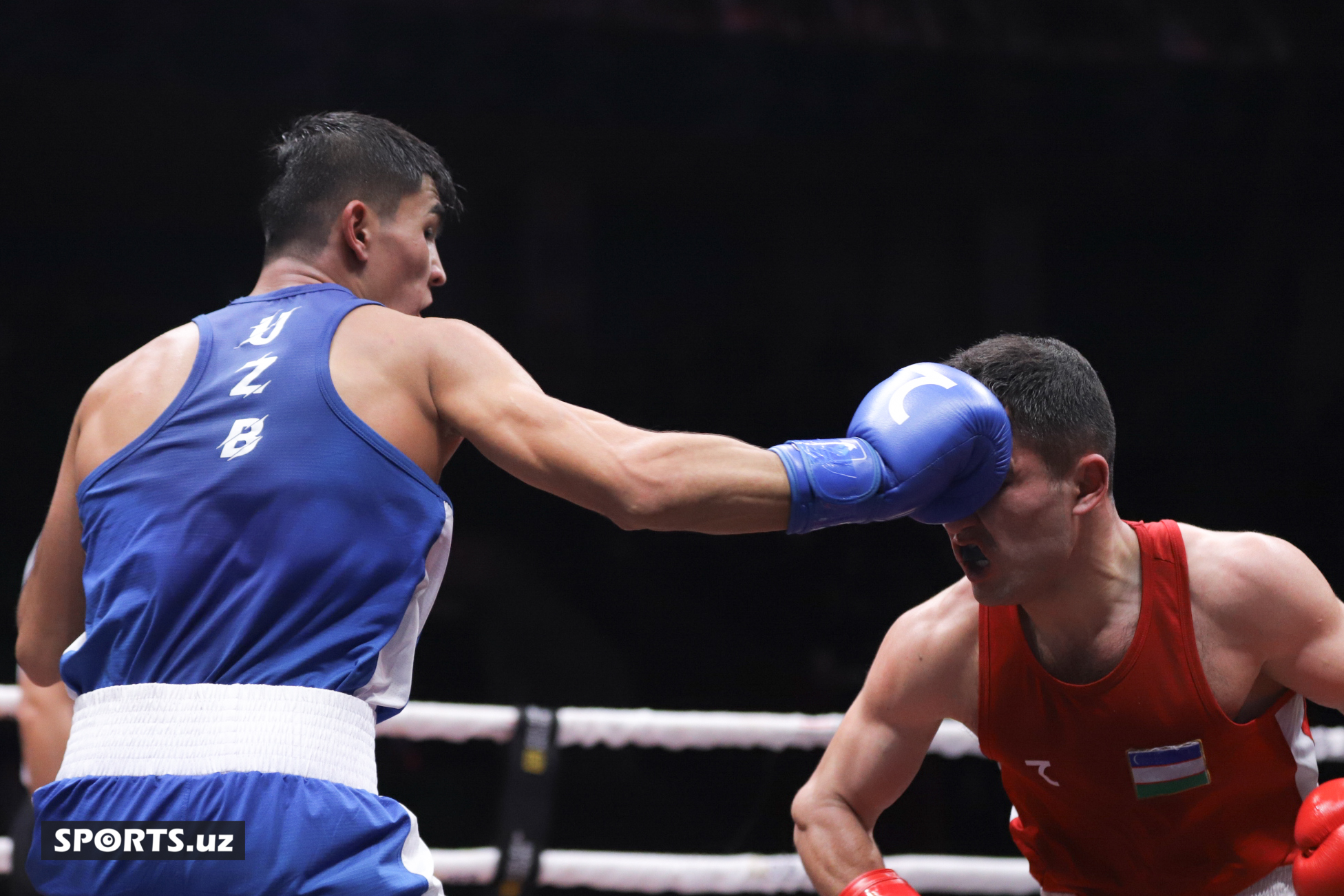 Boks. O'zbekiston chempionati yarim final