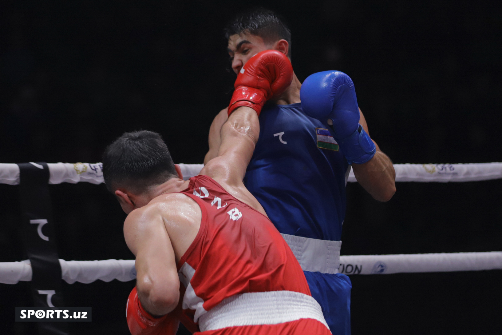 Boks. O'zbekiston chempionati yarim final