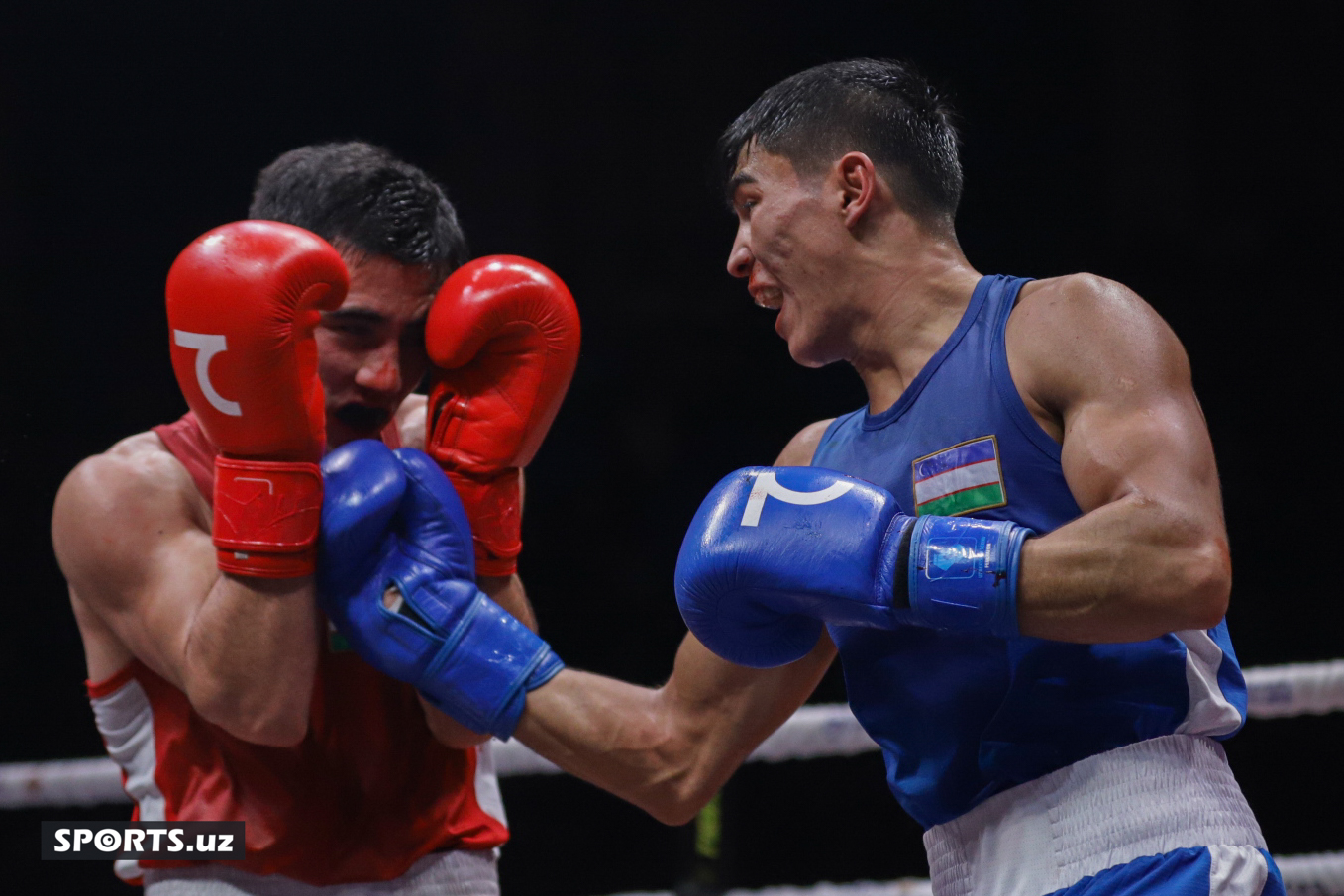 Boks. O'zbekiston chempionati yarim final