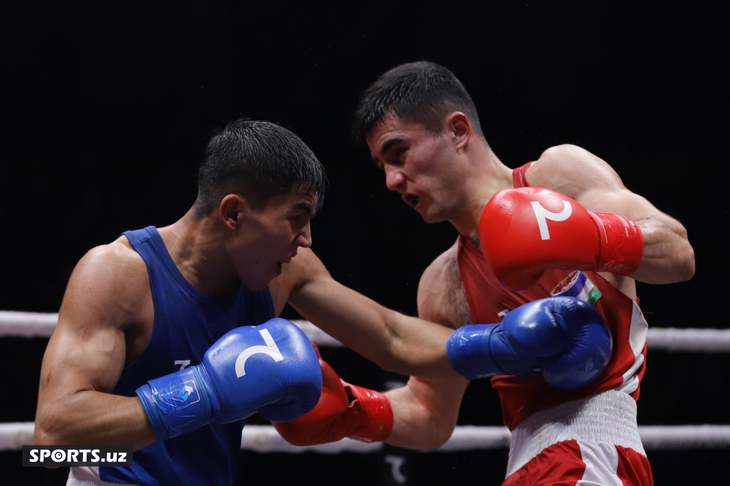 Boks. O'zbekiston chempionati yarim final