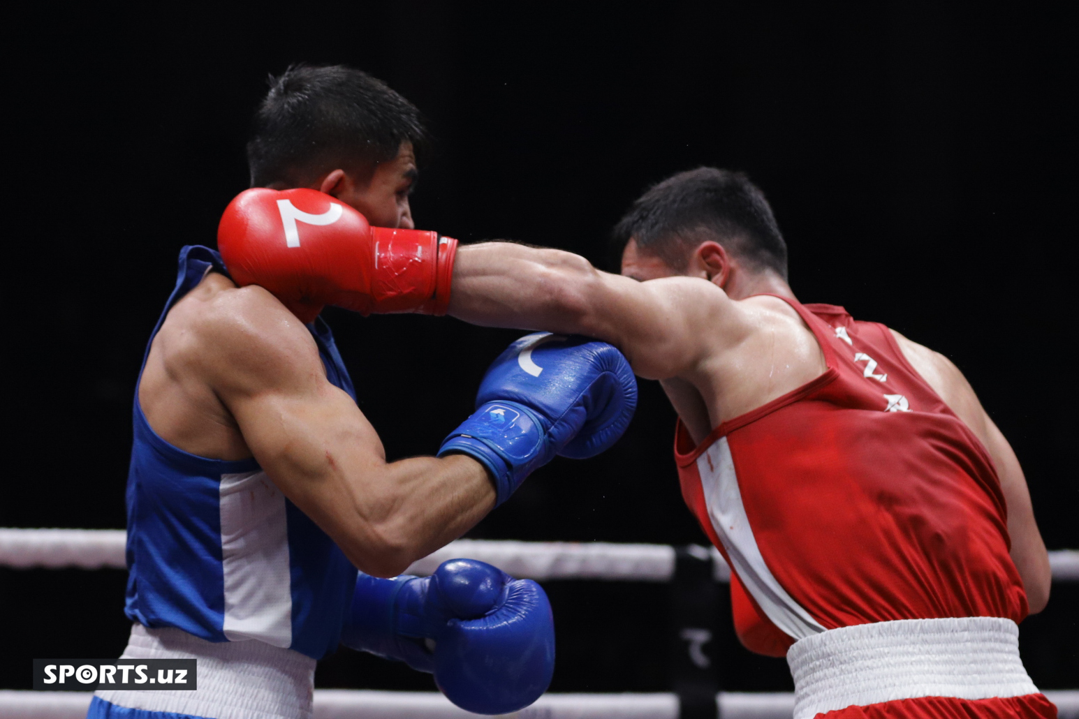 Boks. O'zbekiston chempionati yarim final