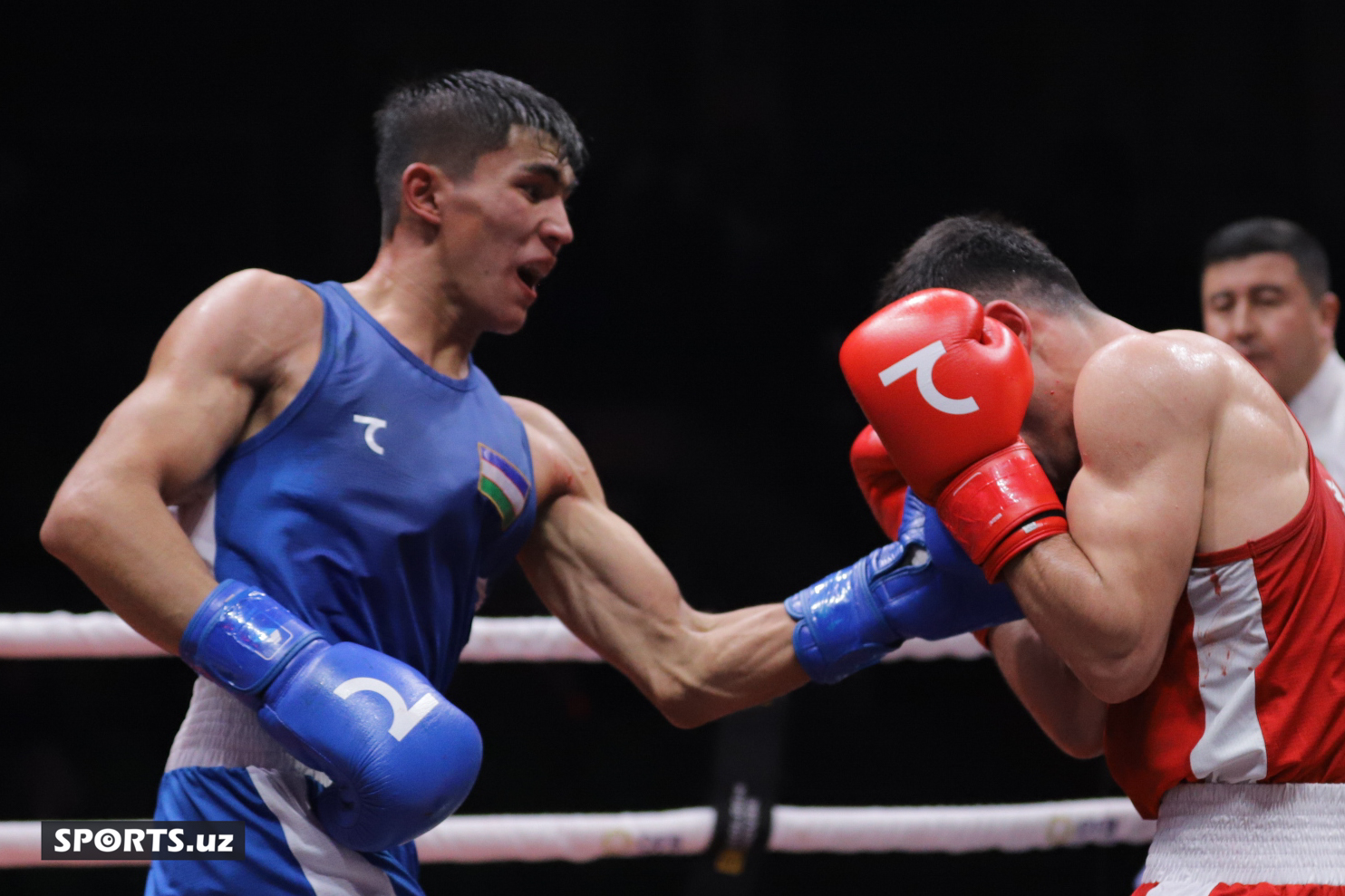 Boks. O'zbekiston chempionati yarim final