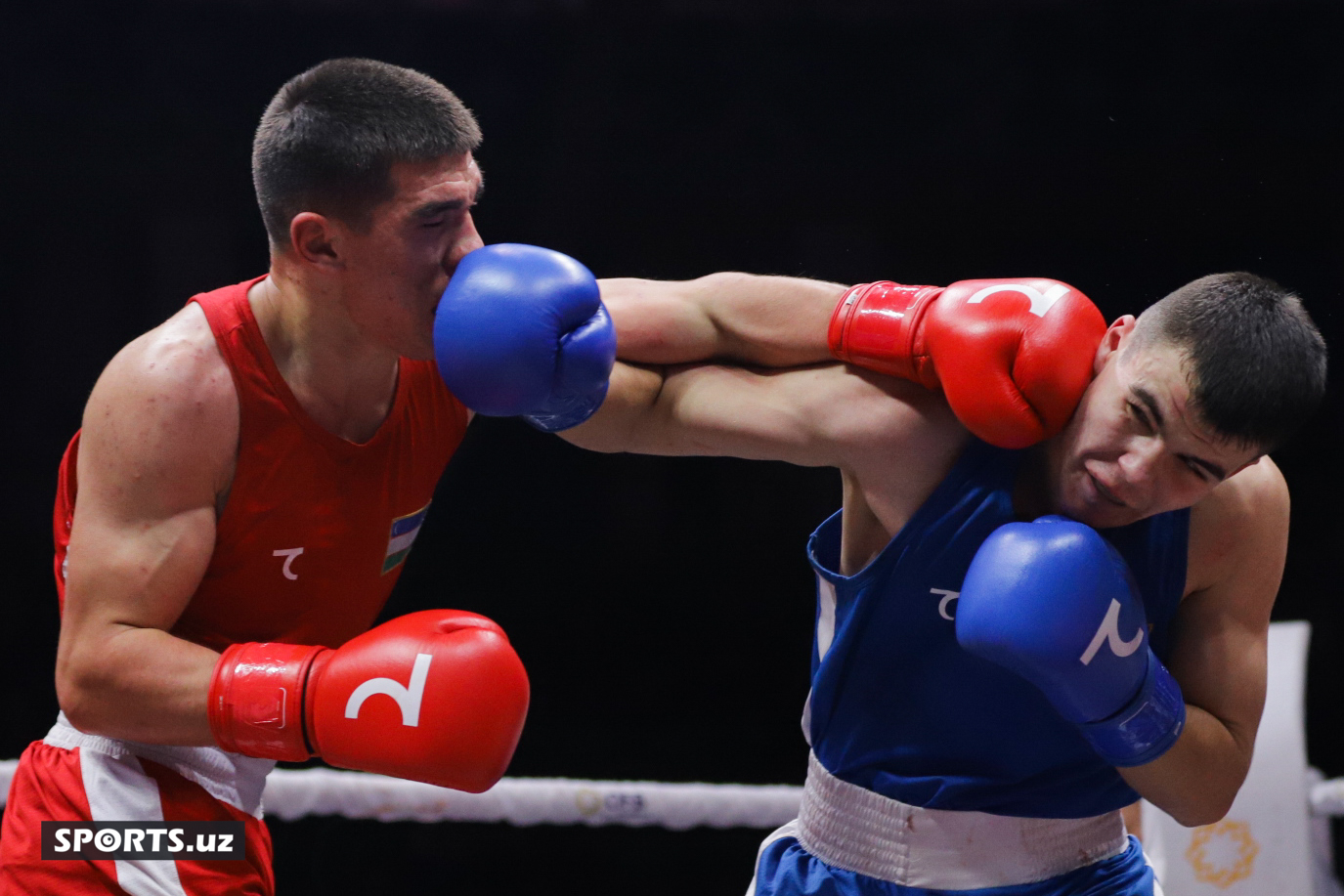 Boks. O'zbekiston chempionati yarim final