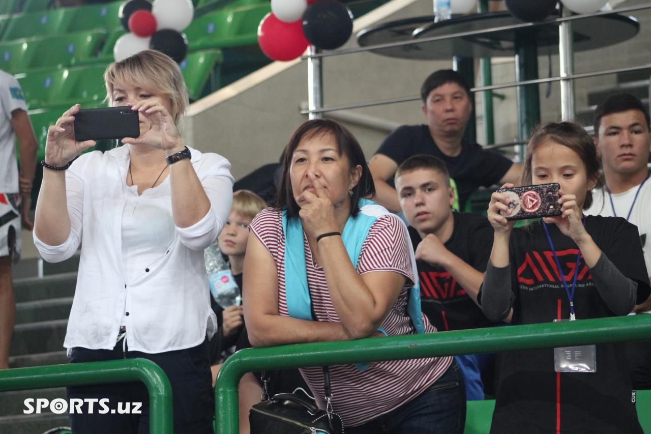 Жиу Житсу