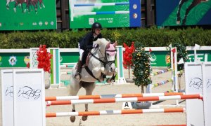 В Ташкенте стартовали международные соревнования по конкуру